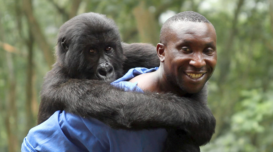 Virunga