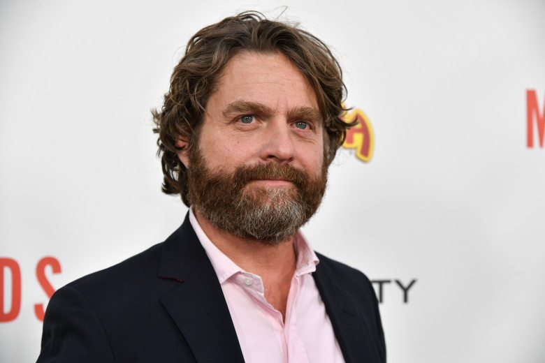 12 Best Zach Galifianakis Movies and TV Shows