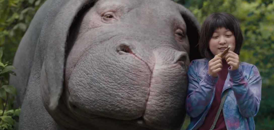 Okja Ending, Explained