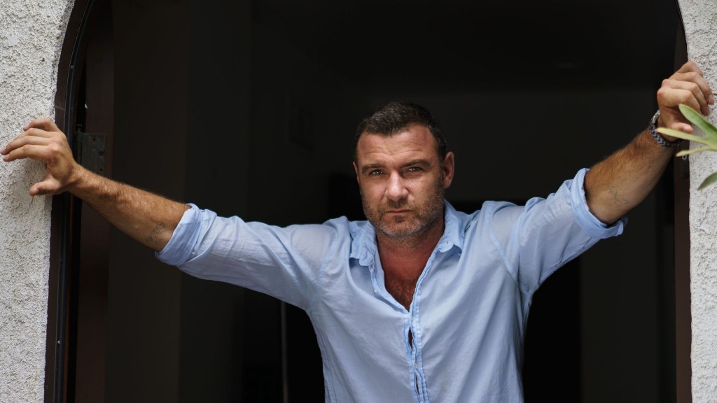 ray donovan