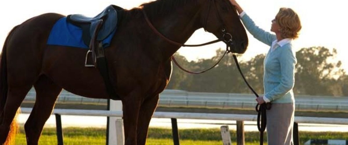 Horse Racing Movies | 8 Best Horse Movies of All Time - The Cinemaholic