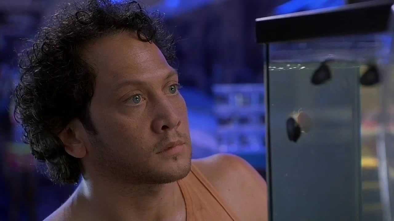 rob schneider movies list Jacquelynn Hong