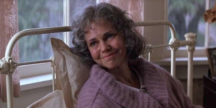 Sally Field Movies | 13 Best Films You Must See - The Cinemaholic