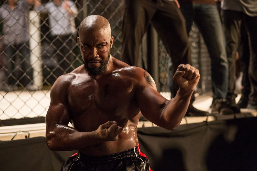 Michael Jai White Movies 10 Best Films and TV Shows