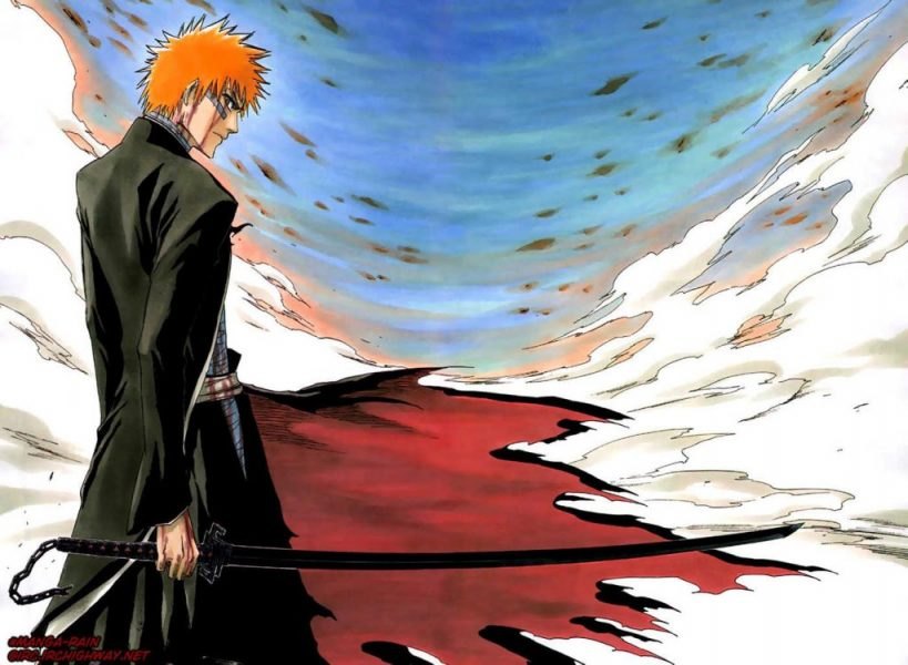 Pin by Naseralshamrani on Quick Saves in 2023  Hunter anime, Hunter x  hunter, Bleach anime ichigo