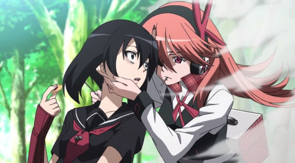 Animes Like Akame Ga Kill