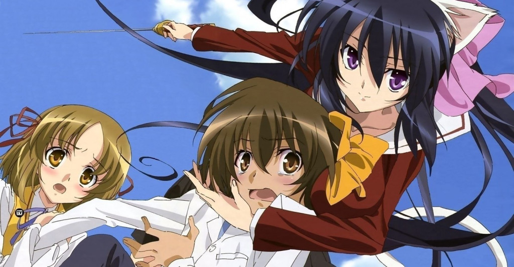 12 Anime Like High School DxD You Must See