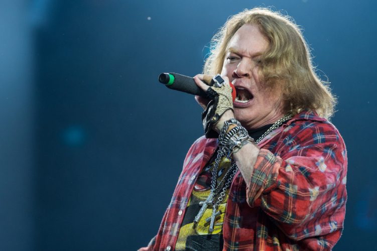 Vermögen axl rose Stevie Young