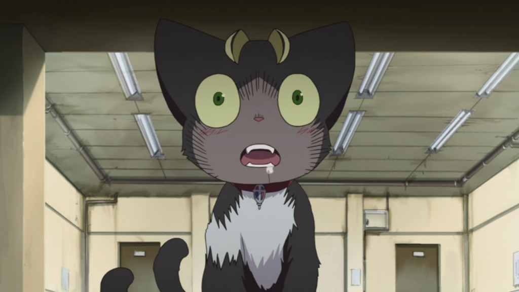 12 Best Anime Cats of All Time - The Cinemaholic