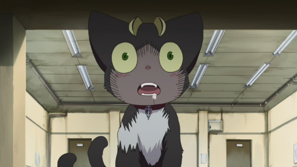 12 Best Anime Cats of All Time  The Cinemaholic