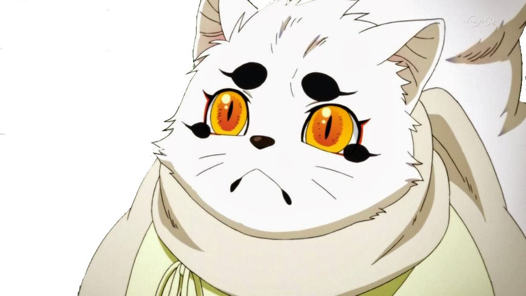 Top 5 Anime Kitsune  I drink and watch anime