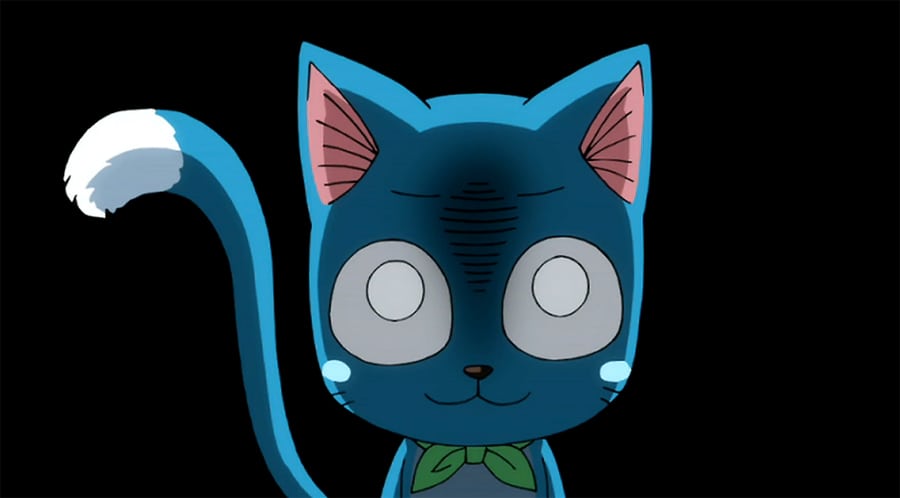 Download Happy, Anime, And Fairy Tail Image - Fairy Tail Cat Png PNG Image  with No Background - PNGkey.com