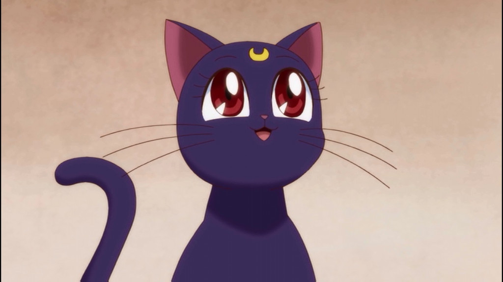 Do you know any anime characters that love cats? - Quora