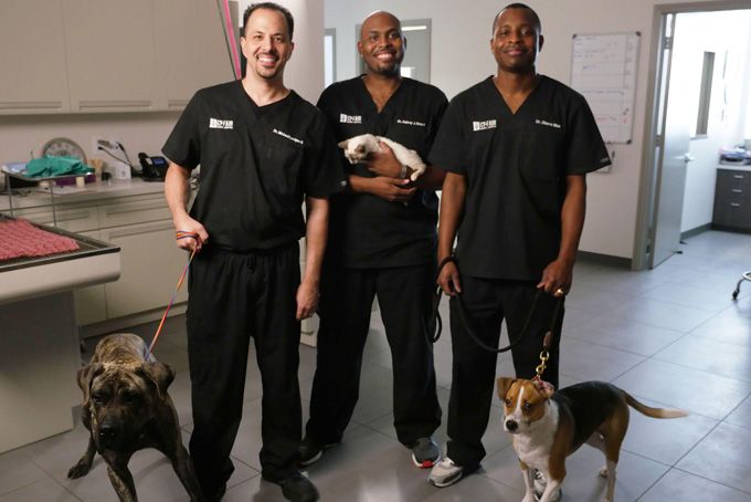 The Vet Life Season 5 Release Date Cast Renewed Or Canceled