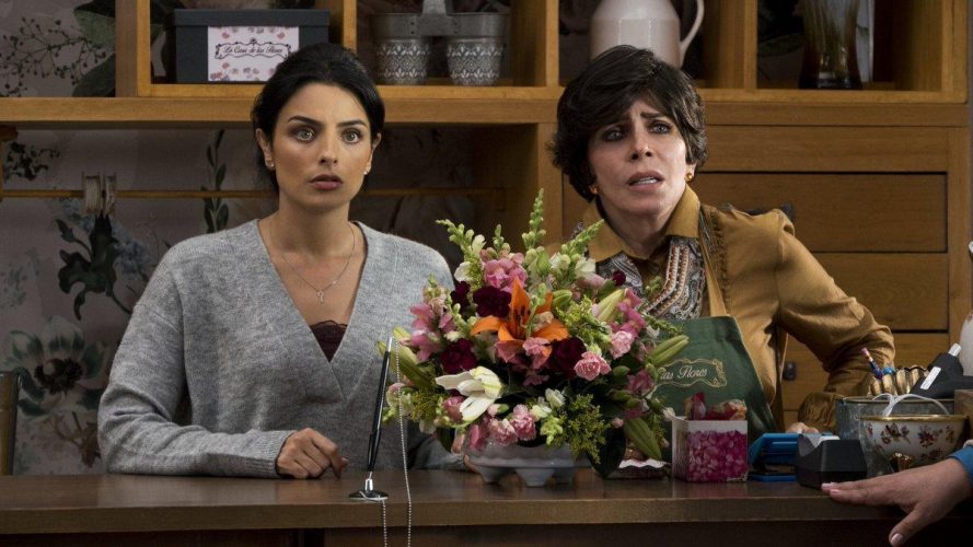 Is La Casa de las Flores Based on a True Story?