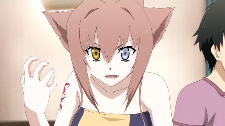 Cute Anime Wolf Girls | 15 Best Wolf Anime Girls - Cinemaholic
