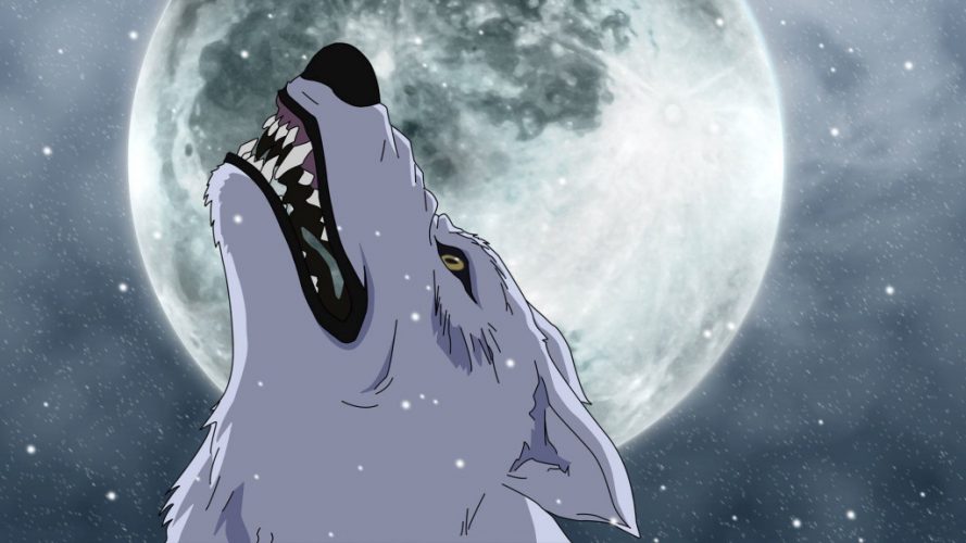 News Know Your Anime Wolfs Rain