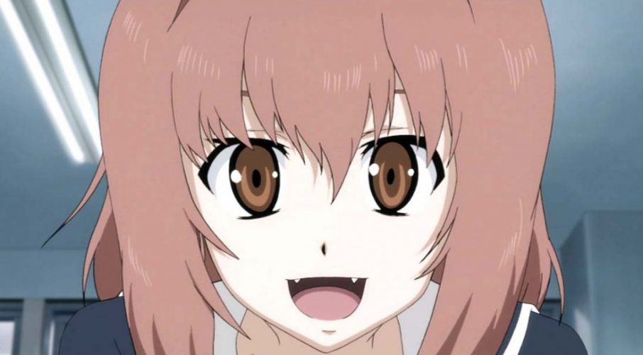 Cute Anime Wolf Girls 15 Best Wolf Anime Girls Cinemaholic