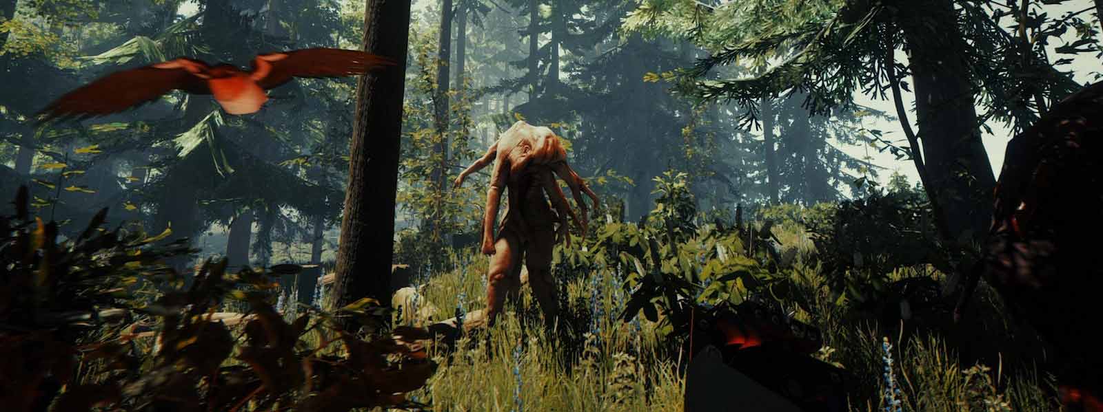 Сон зе форест. Форест 2 ПС 4. Sons of the Forest. Forest игра. Сонг оф зе Форест.