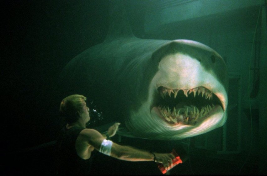 6 Best Shark Movies on Netflix 2019, 2020 - Cinemaholic