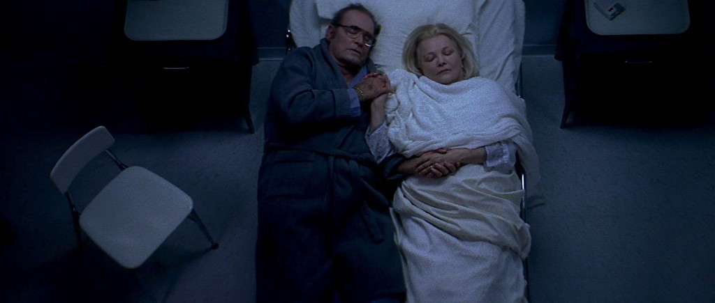 The Notebook Ending Scene, Plot, Characters: Explained - Cinemaholic