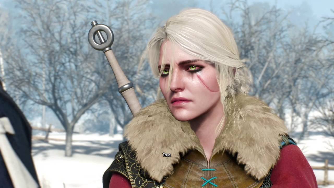 Can Ciri Become A Witcher?