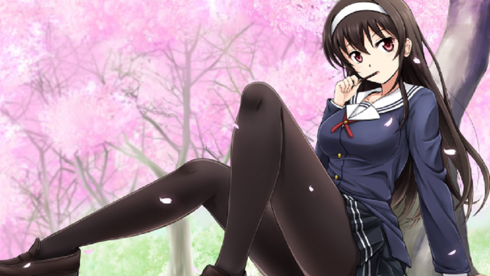 free download utaha saekano