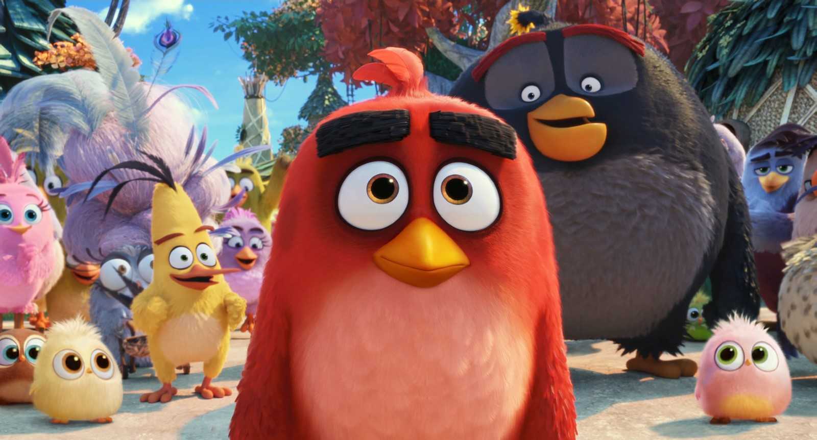 Everything We Know About The Angry Birds Movie 2