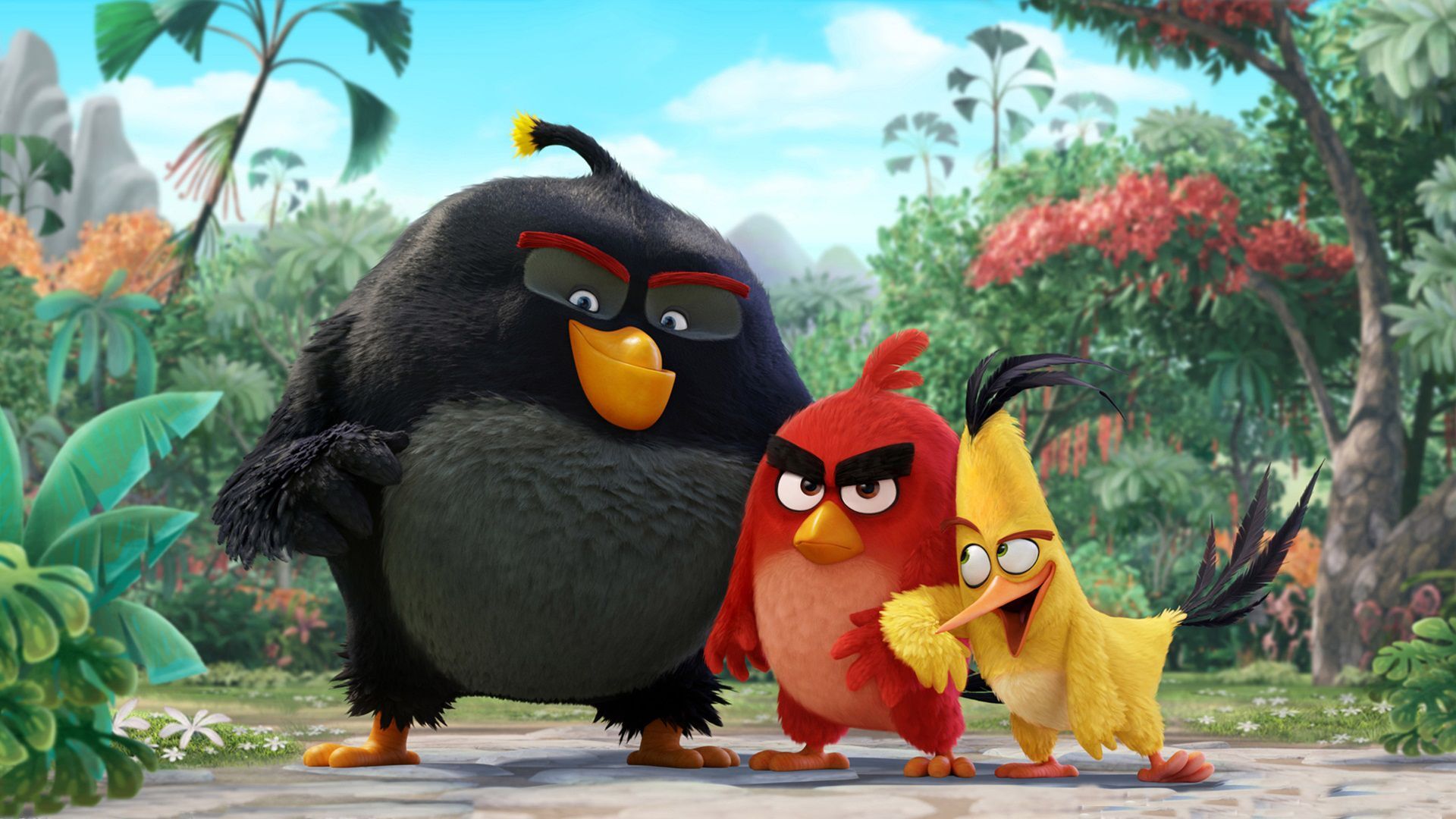 Where to Stream The Angry Birds Movie?
