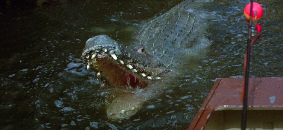 thesis crocodile movie