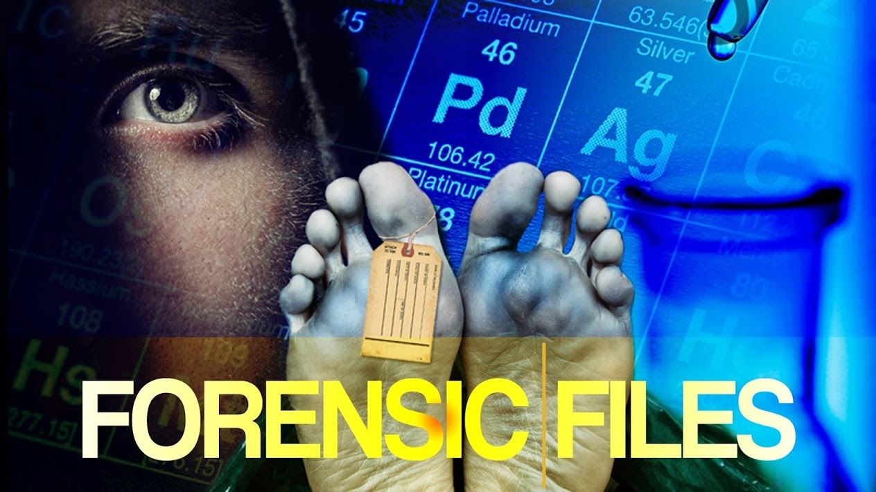10 Shows Like Forensic Files You Must See