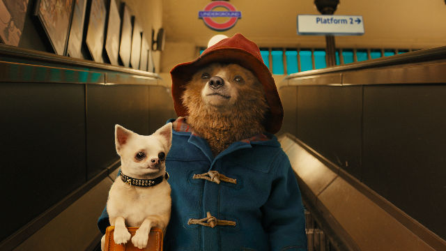 Will There be a Paddington 3?