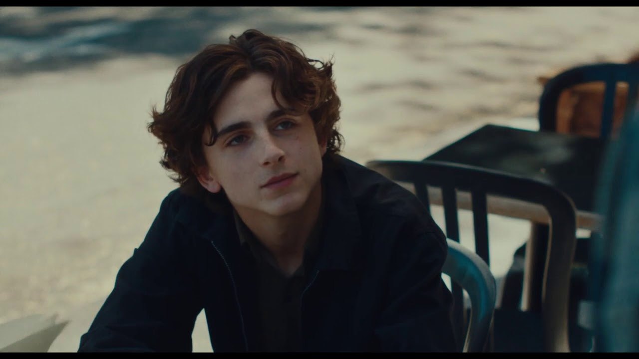 timothee chalamet french dispatch interview