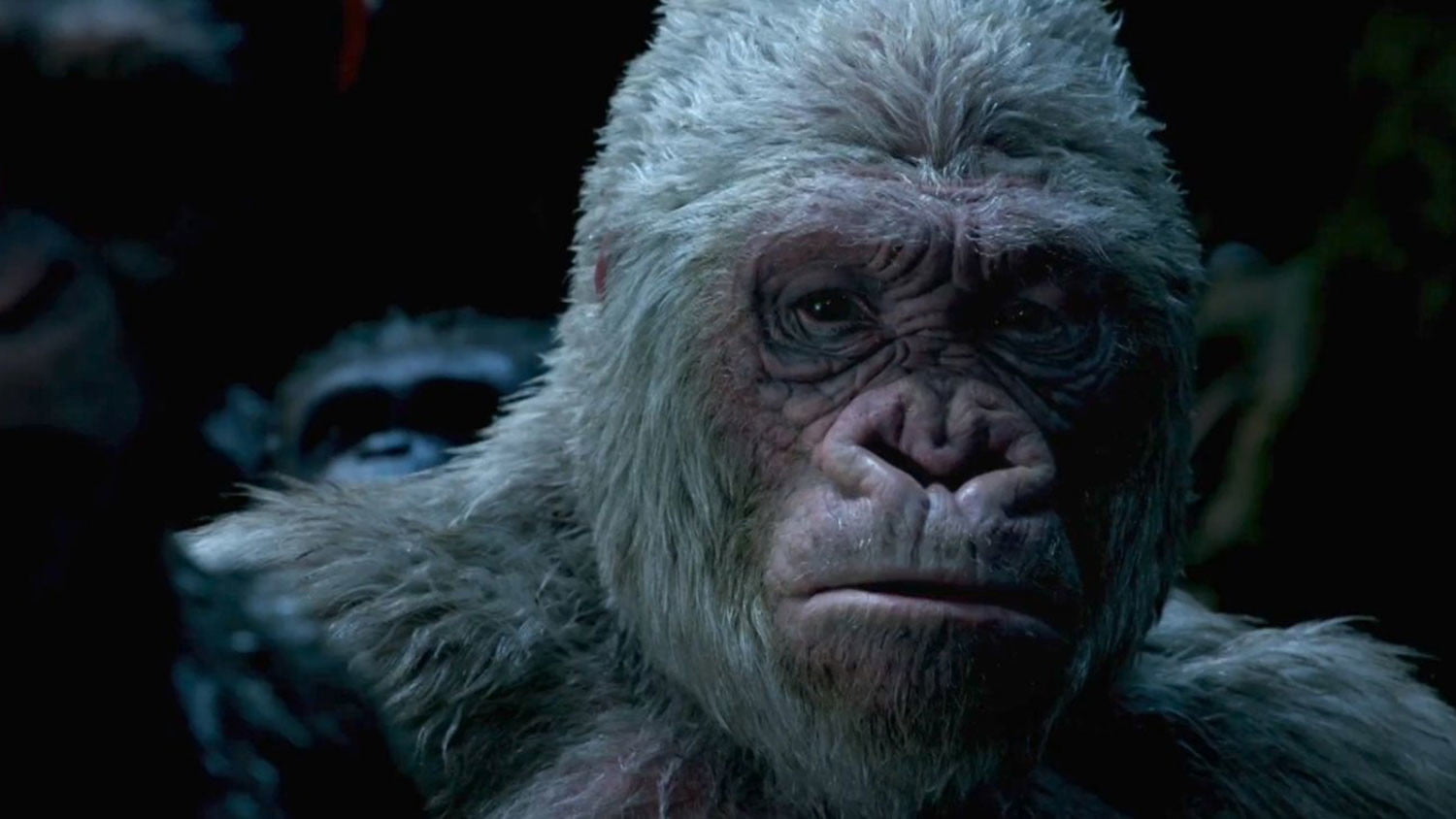 Will There be Another Planet of the Apes Movie?