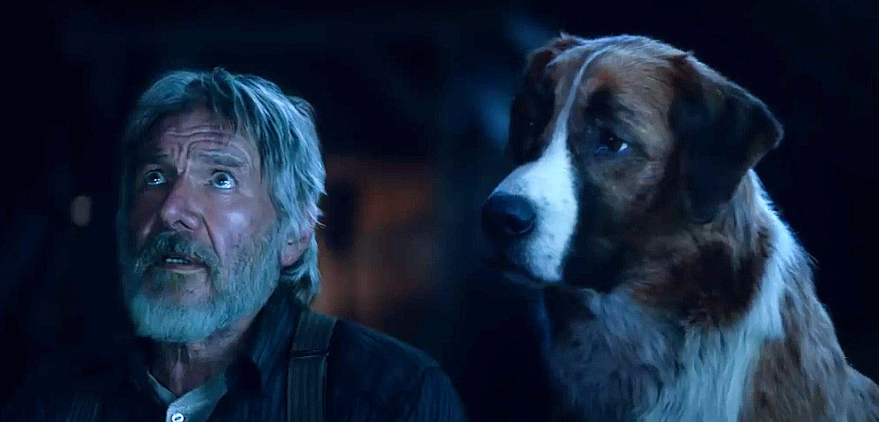 Does the Dog Die in The Call of the Wild? What Happens to Buck in the End?