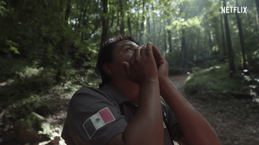 7 Best Wildlife Documentaries on Netflix Right Now