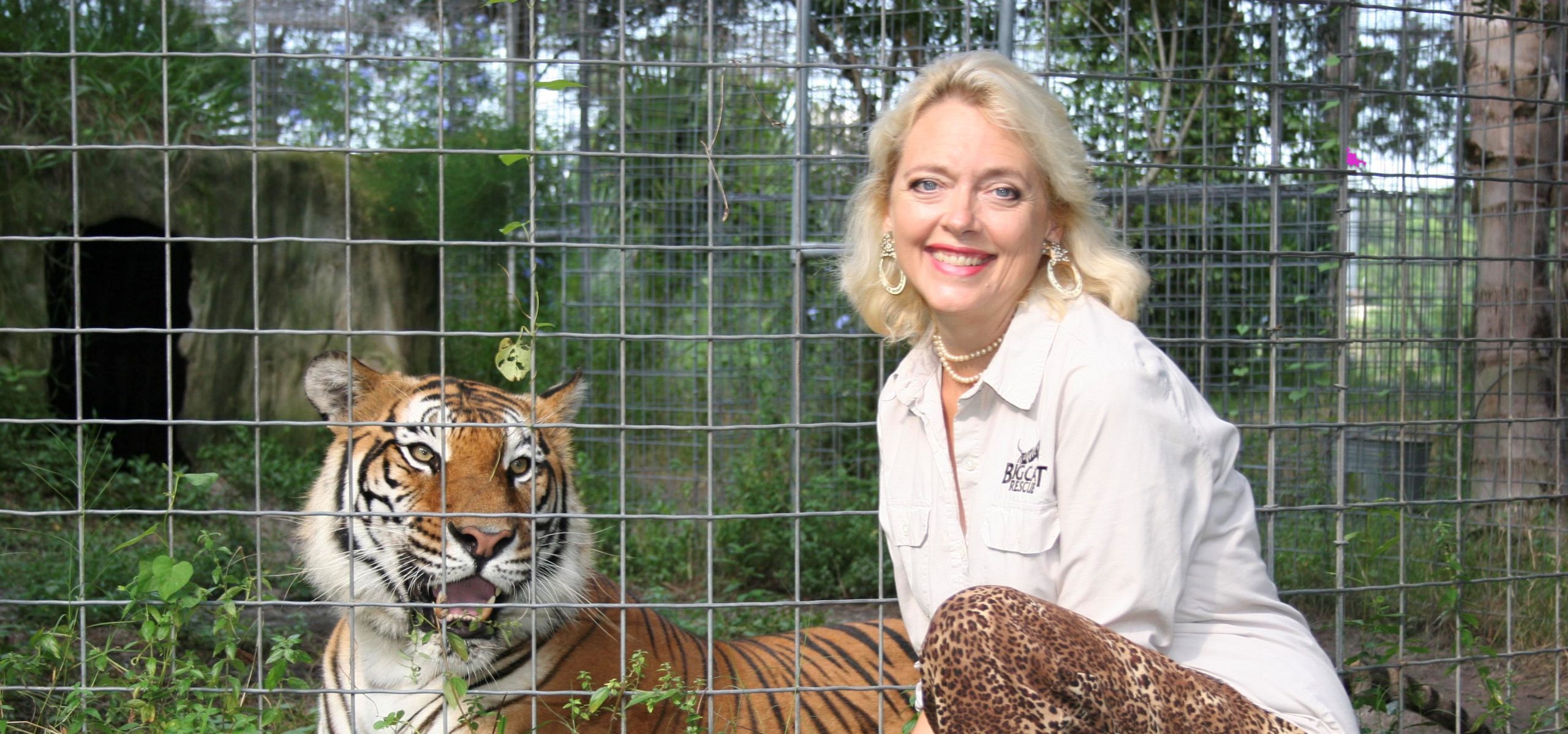Founder Of Big Cat Rescue Recipient Of Global Award For Sanctuary Excellence Global Federation Of Animal Sanctuaries