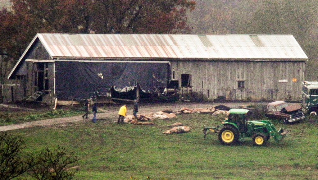 Zanesville Animal Escape: How Many Animals Died? Terry Thompson Zoo