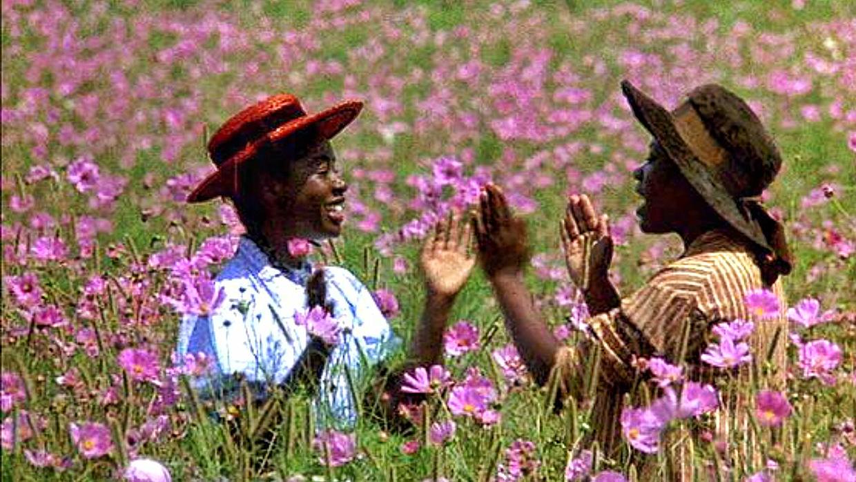 Where Was The Color Purple Filmed? Where is the House Located?