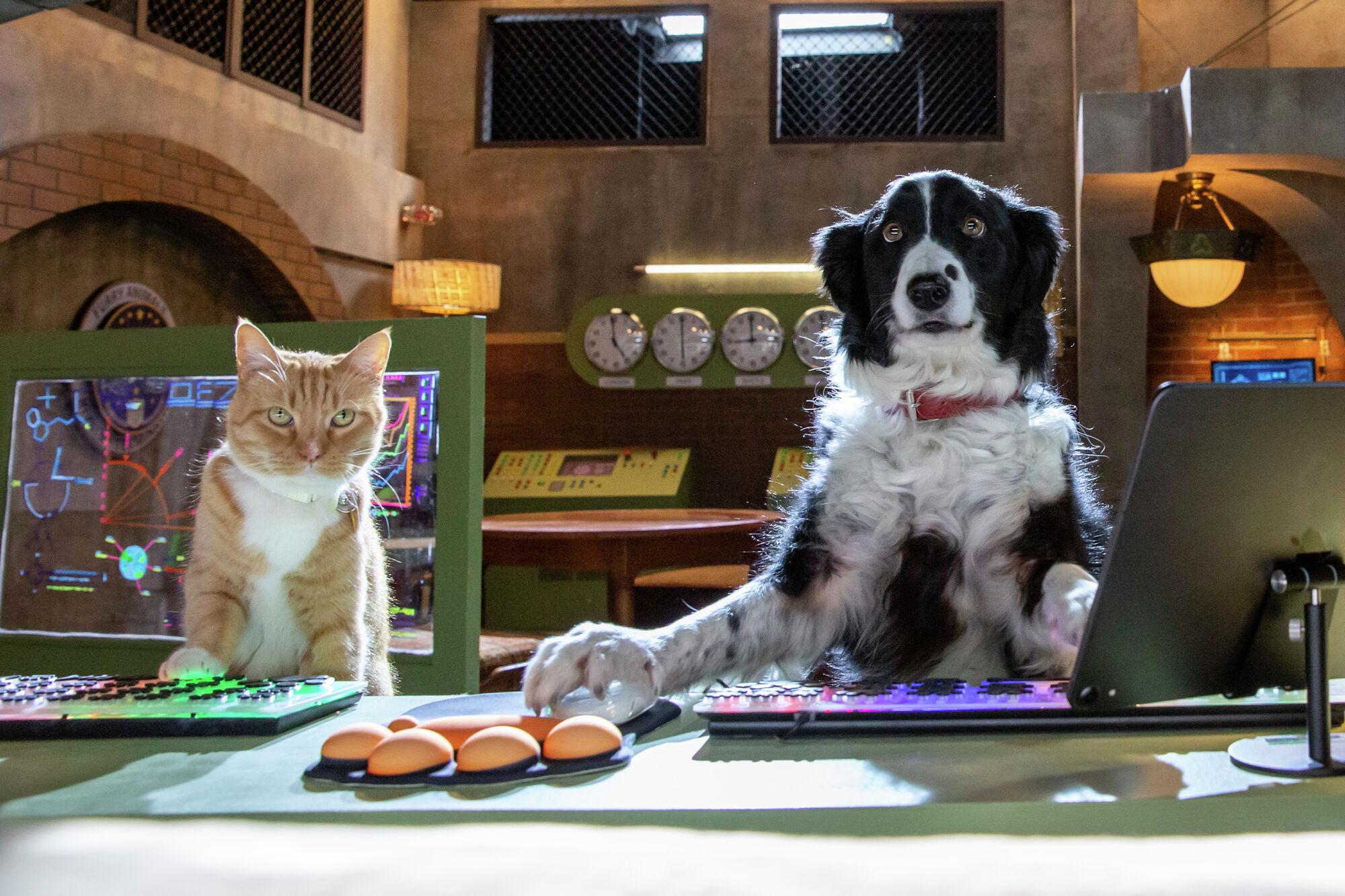 Is Cats and Dogs 3 Paws Unite on Netflix, Hulu or Amazon Prime? Where