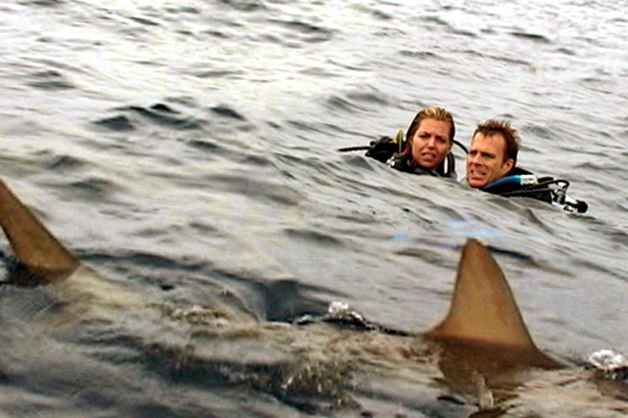 Open Water Ending, Explained Movie Plot Summary