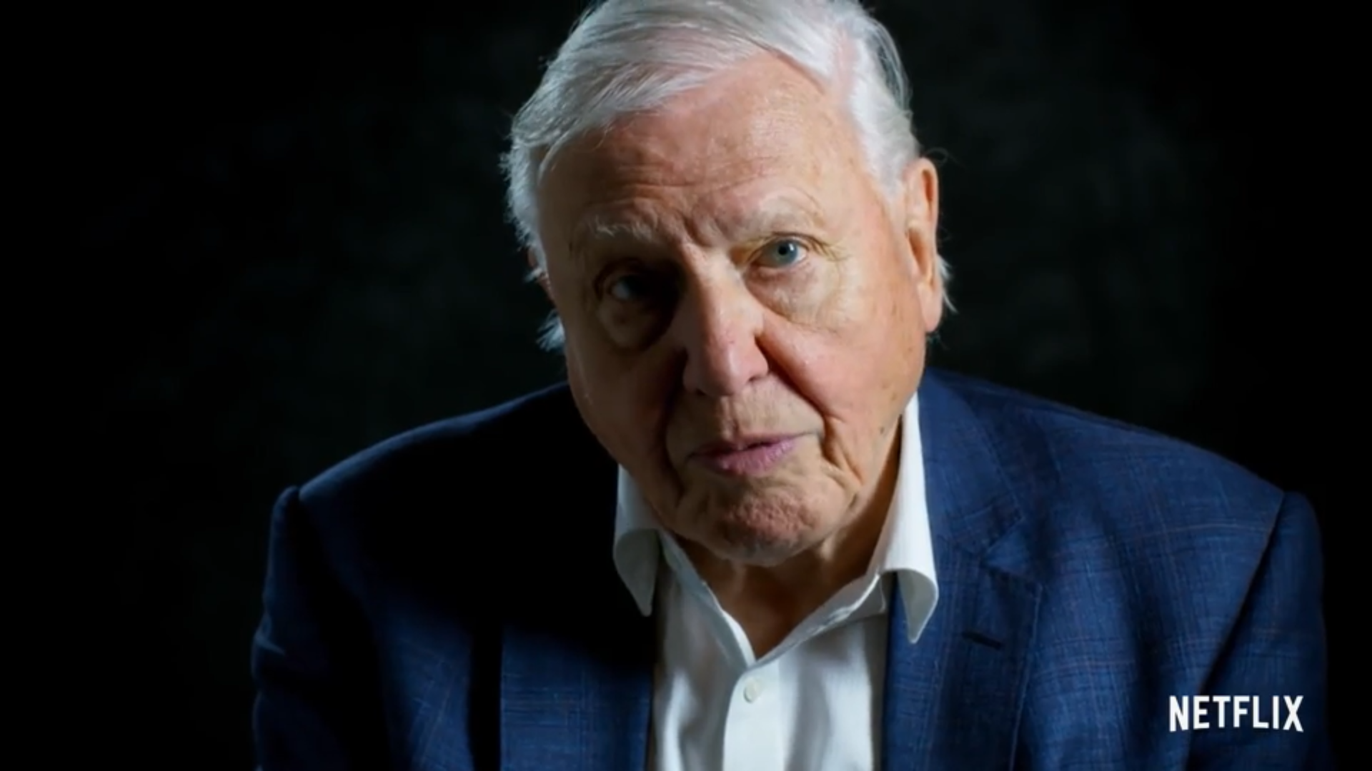 What is David Attenborough’s Net Worth?