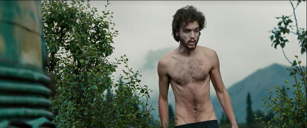 Into The Wild Ending, Explained | Movie Plot Synopsis