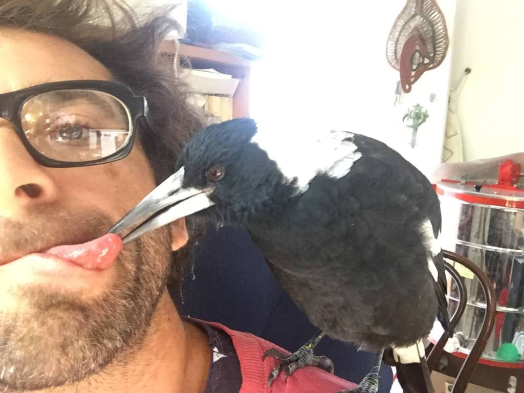 Is Penguin Bloom a True Story? Is the Netflix Movie Based on Real Life?