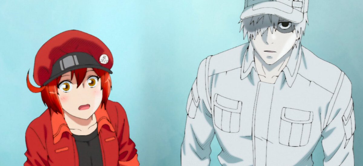 Cells At Work Season 2 Episode 5 Release Date Watch English Dub Online Spoilers