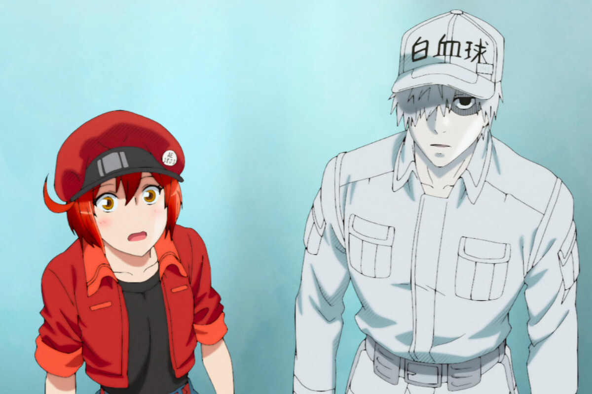 Hataraku Saibou Season 1+2+Black +OVA (DVD) (2018-2021) Anime