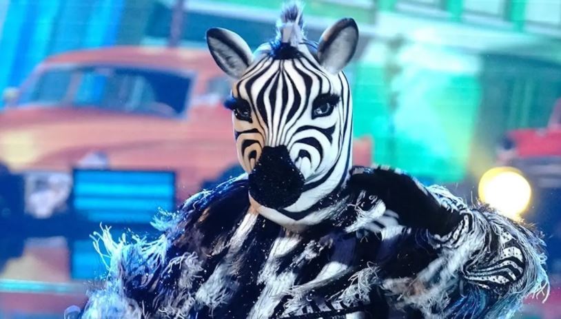 Who Is The Zebra On The Masked Dancer
