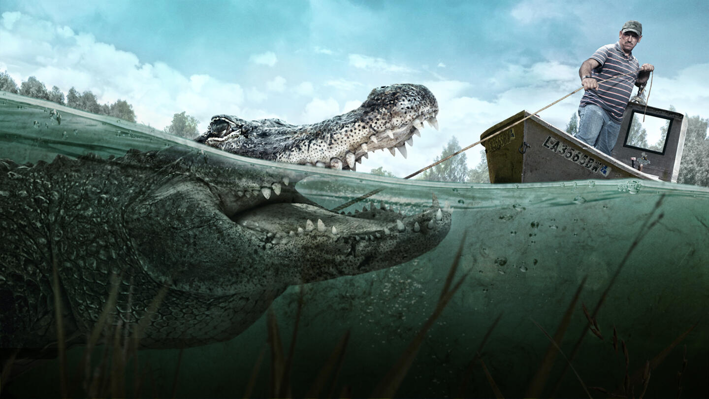What Do Swamp People Do With the Alligators?
