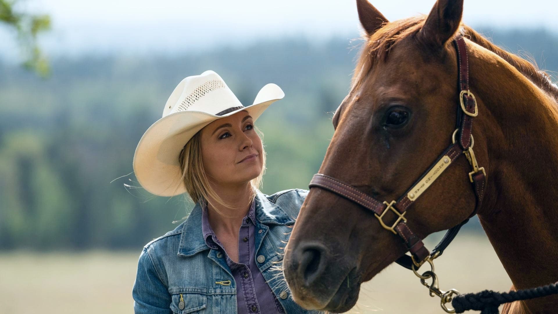 heartland season 14 episode 1 cbc