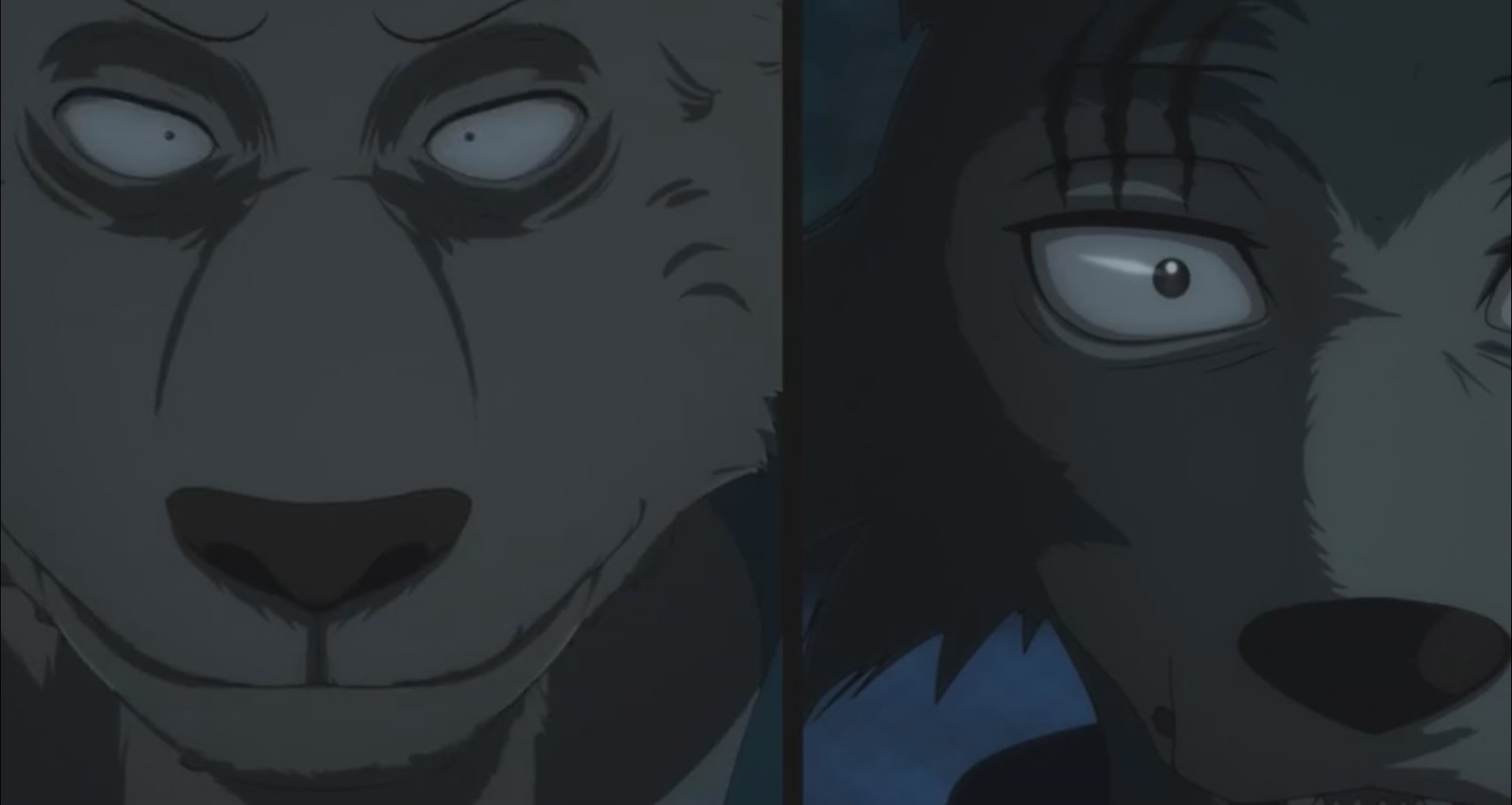 Beastars Season 2 Ending, Explained: Who Killed Tem? Why Does Ibuki